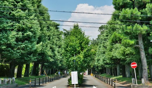 京都大学　農学部　雰囲気　北部構内